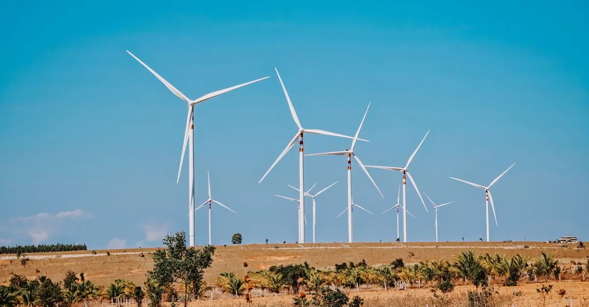 Énergie renouvelable : Quel impact sur notre environnement ?