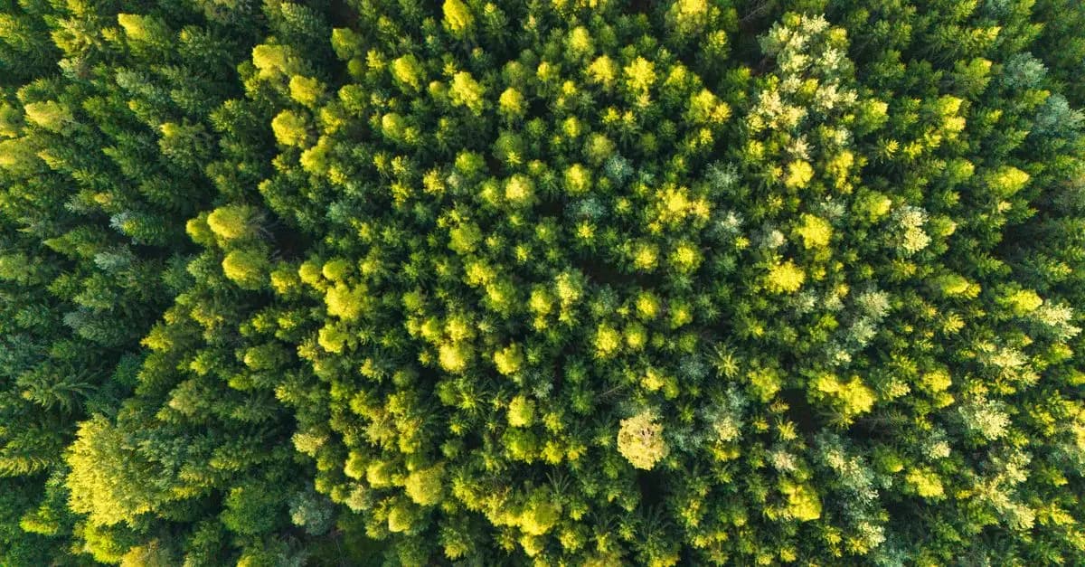 L'importance des innovations durables pour l'avenir de la planète